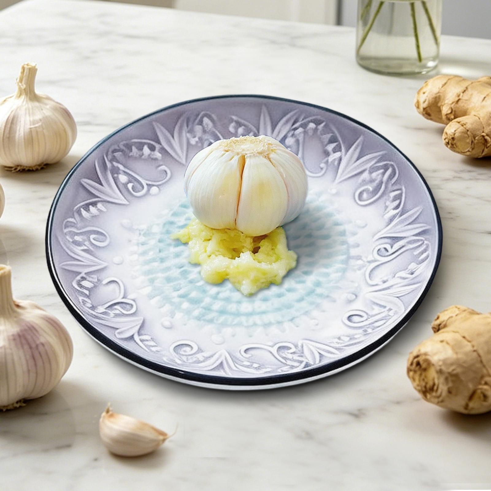 Garlic Grater Plate Ceramic Ha - Kitchen Gadgets For Small Kitchens 评论和价格