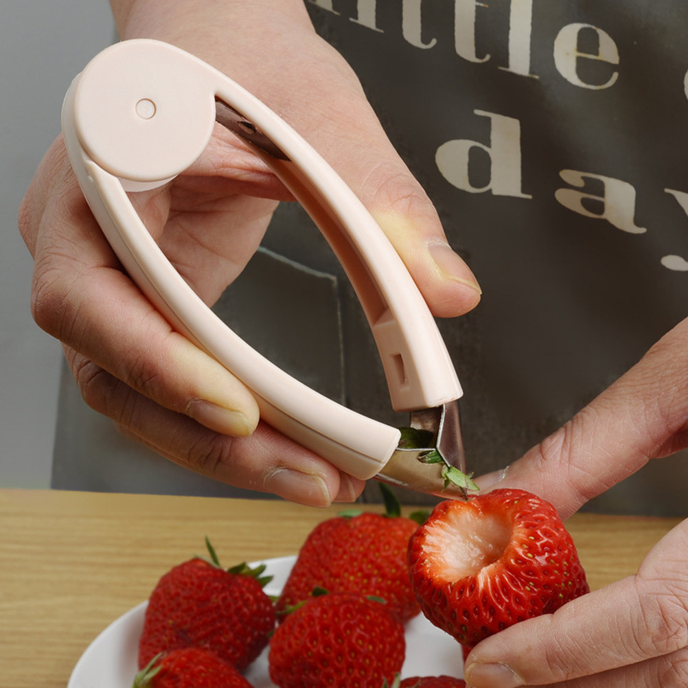 Sturdy Pineapple Core Remover  - Kitchen Gadgets And Tools 评论和价格